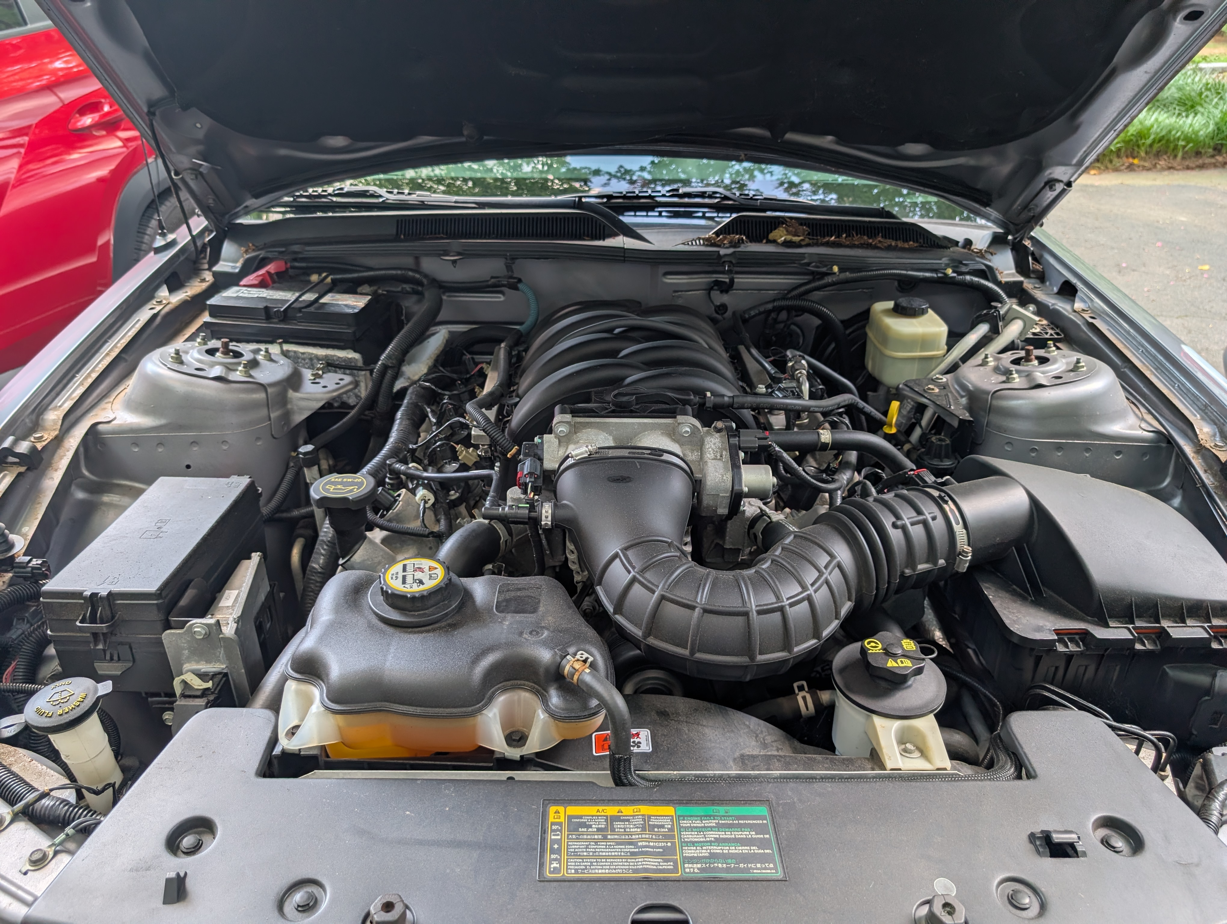 Used 2006 Ford Mustang GT Premium RWD image 13