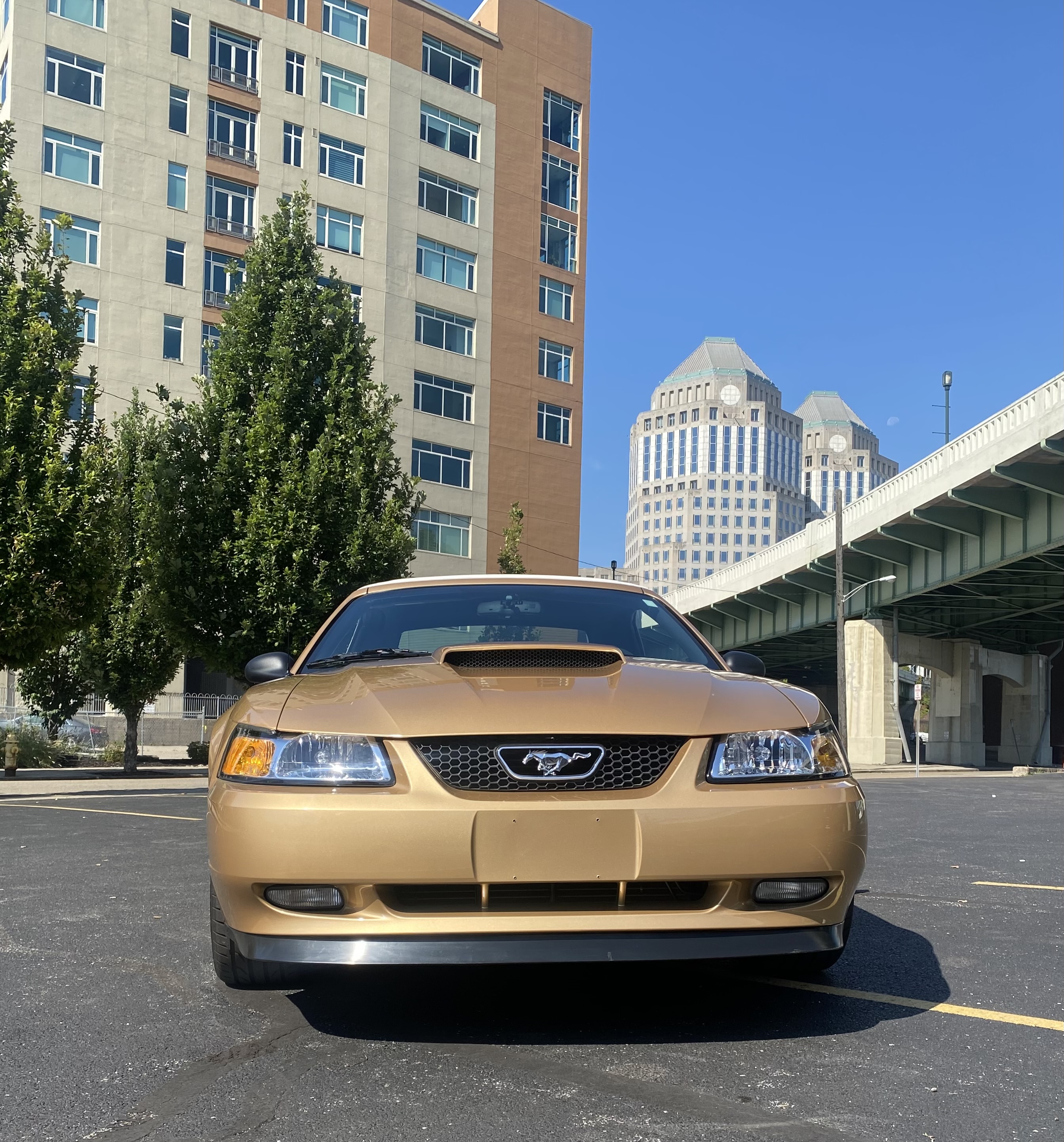 Used 2000 Ford Mustang GT RWD image 2