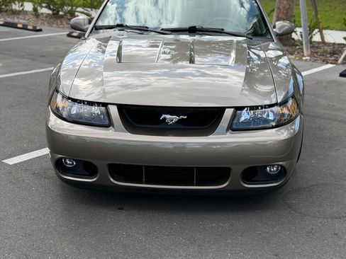 Used 2003 Ford Mustang Cobra image 4
