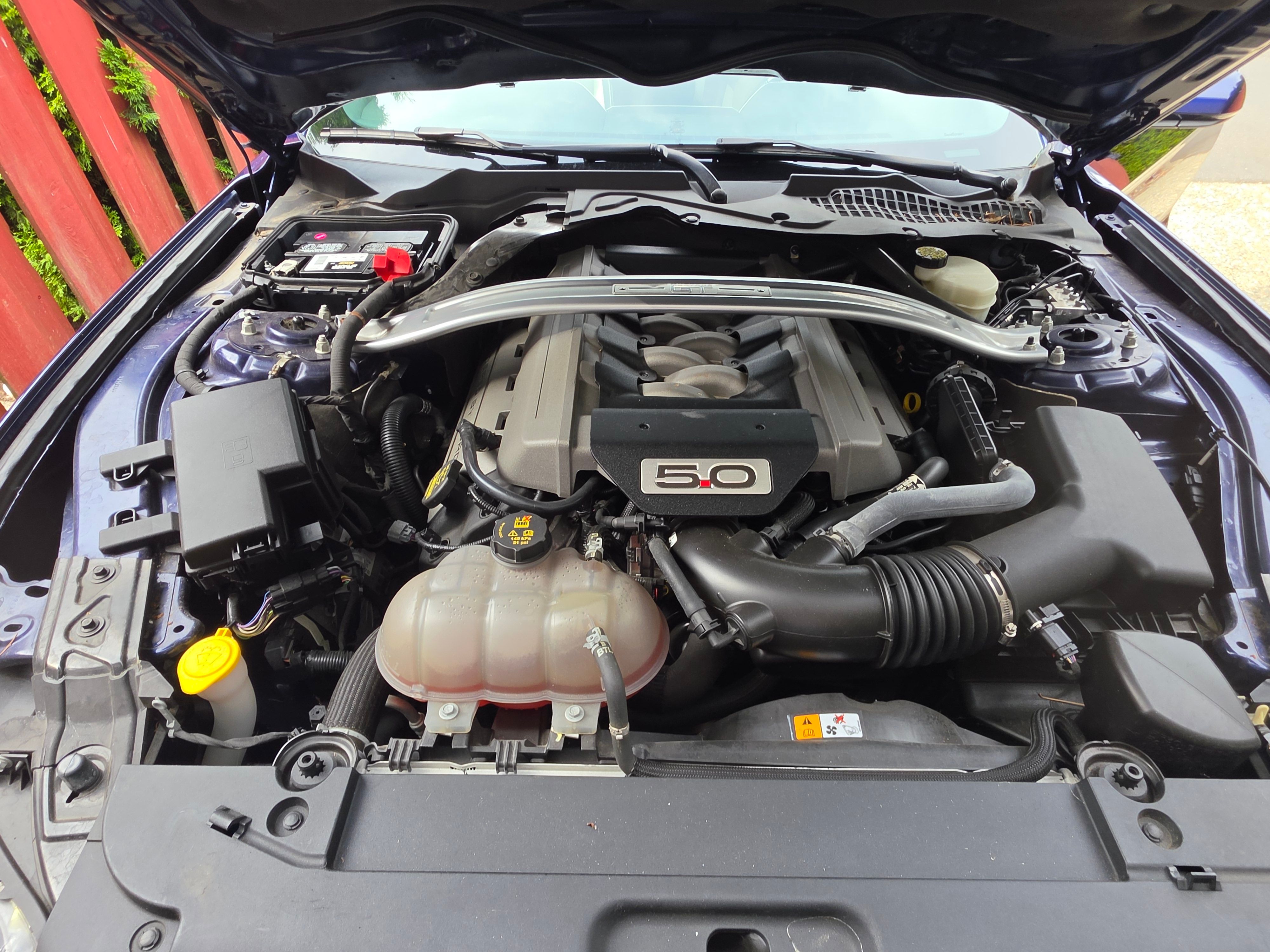 Used 2015 Ford Mustang 50 Years RWD image 30