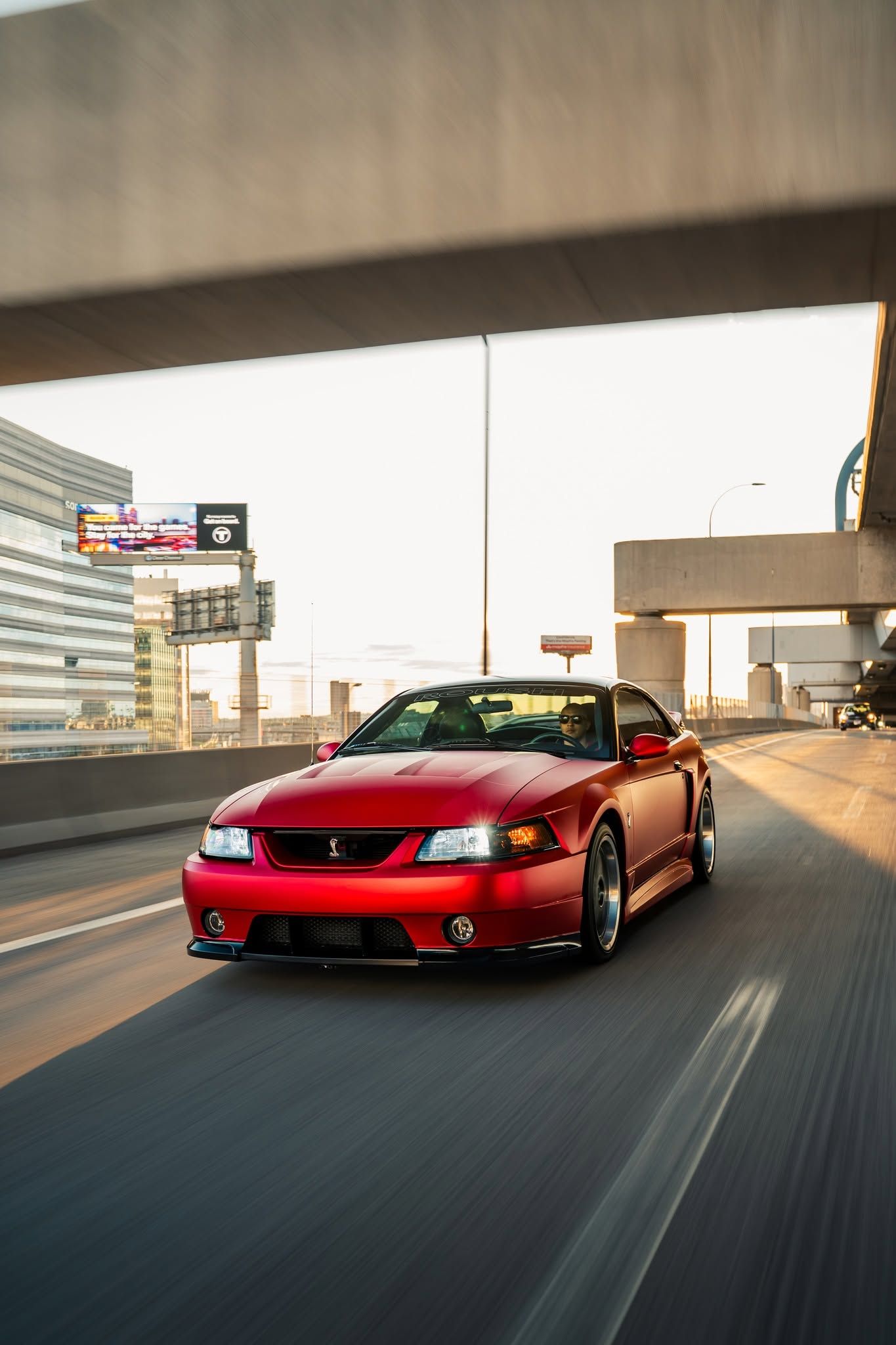 Used 2003 Ford Mustang Cobra RWD image 1