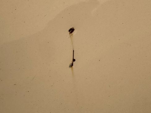 Used 2017 RAM 2500 Tradesman image 24