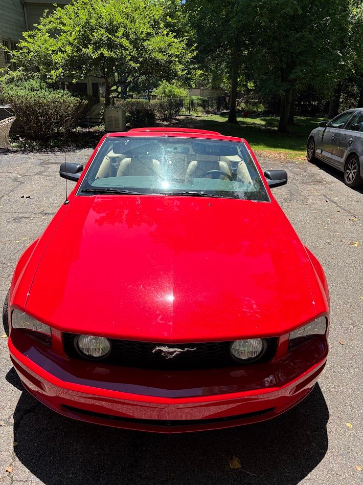 Used 2006 Ford Mustang GT RWD image 10