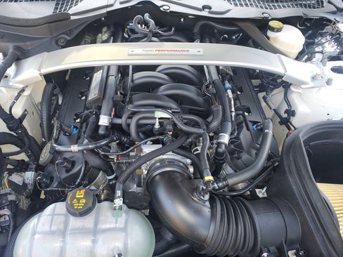 Used 2020 Ford Mustang Shelby GT350R w/ GT350R Equipment Group 920A image 12