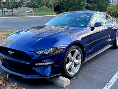 Used 2019 Ford Mustang Premium w/ Equipment Group 201A