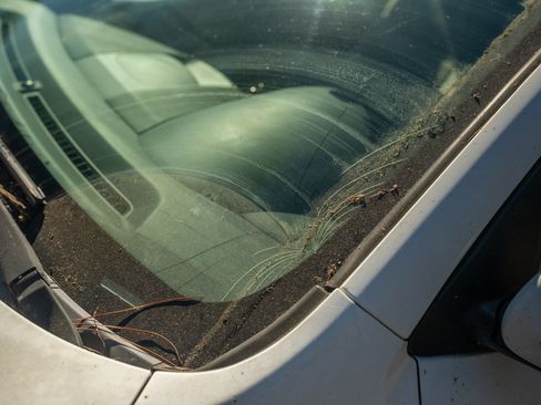 Used 2010 Kia Forte EX image 14