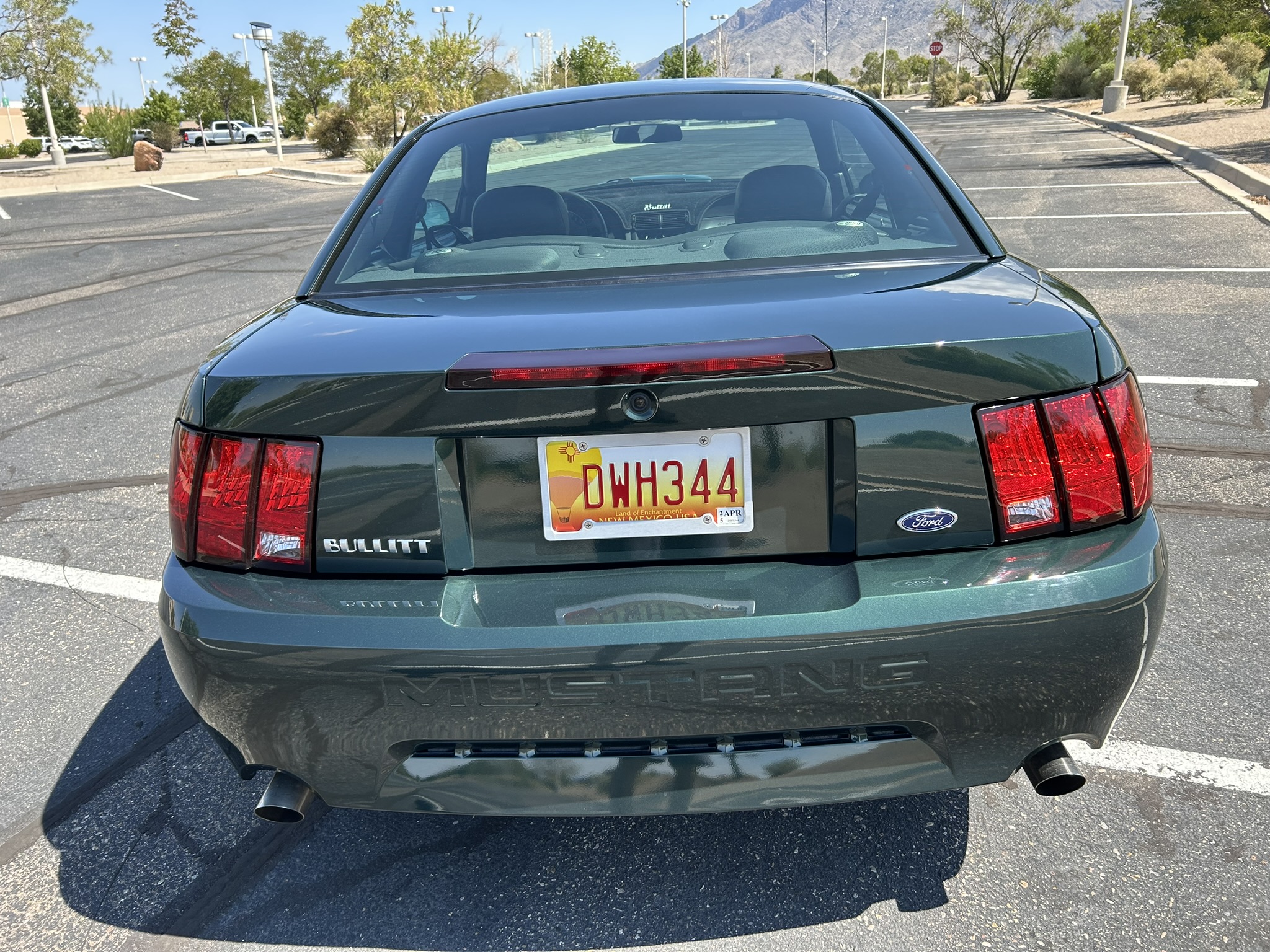 Used 2001 Ford Mustang GT RWD image 8