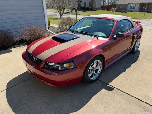 Used 2002 Ford Mustang GT Premium RWD image 2