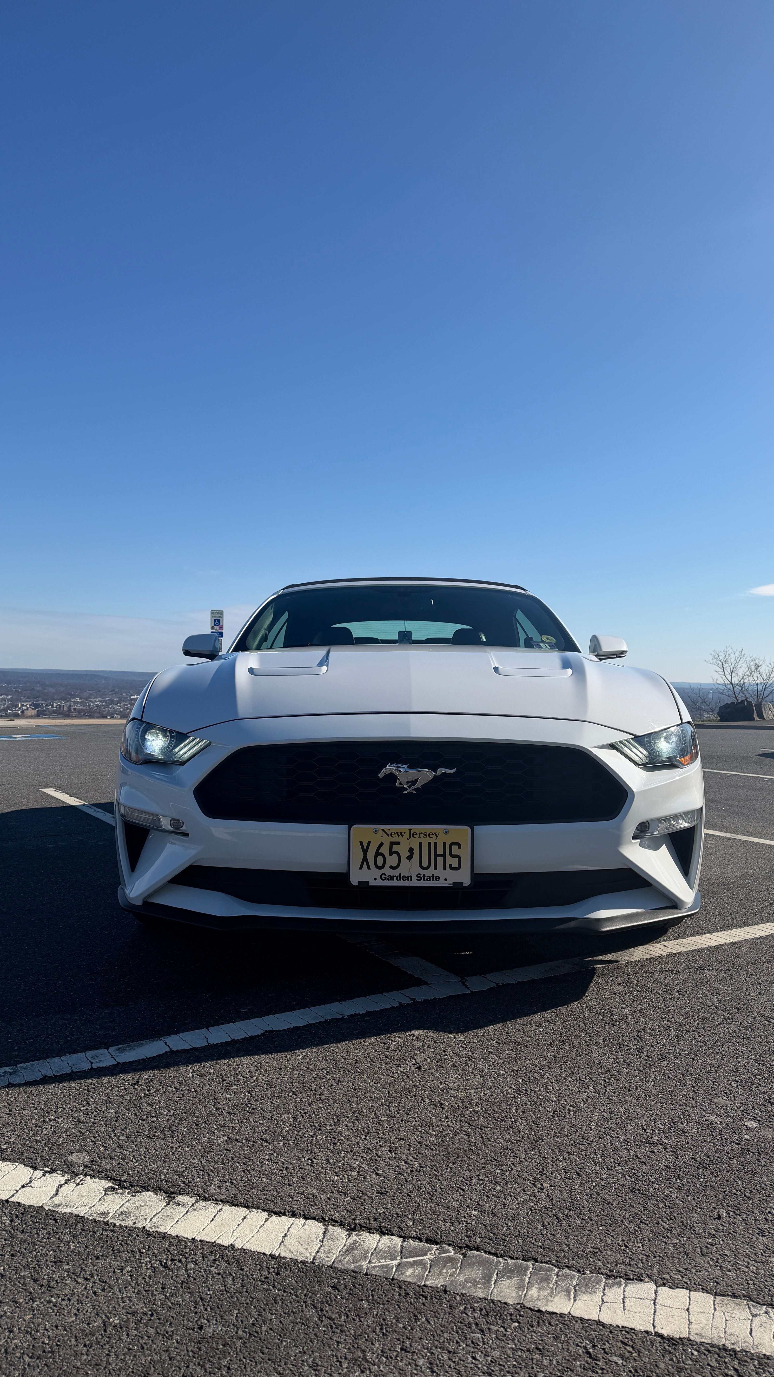 Used 2019 Ford Mustang Premium RWD image 6