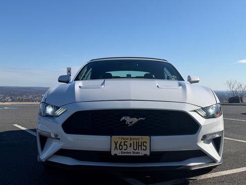 Used 2019 Ford Mustang Premium image 6