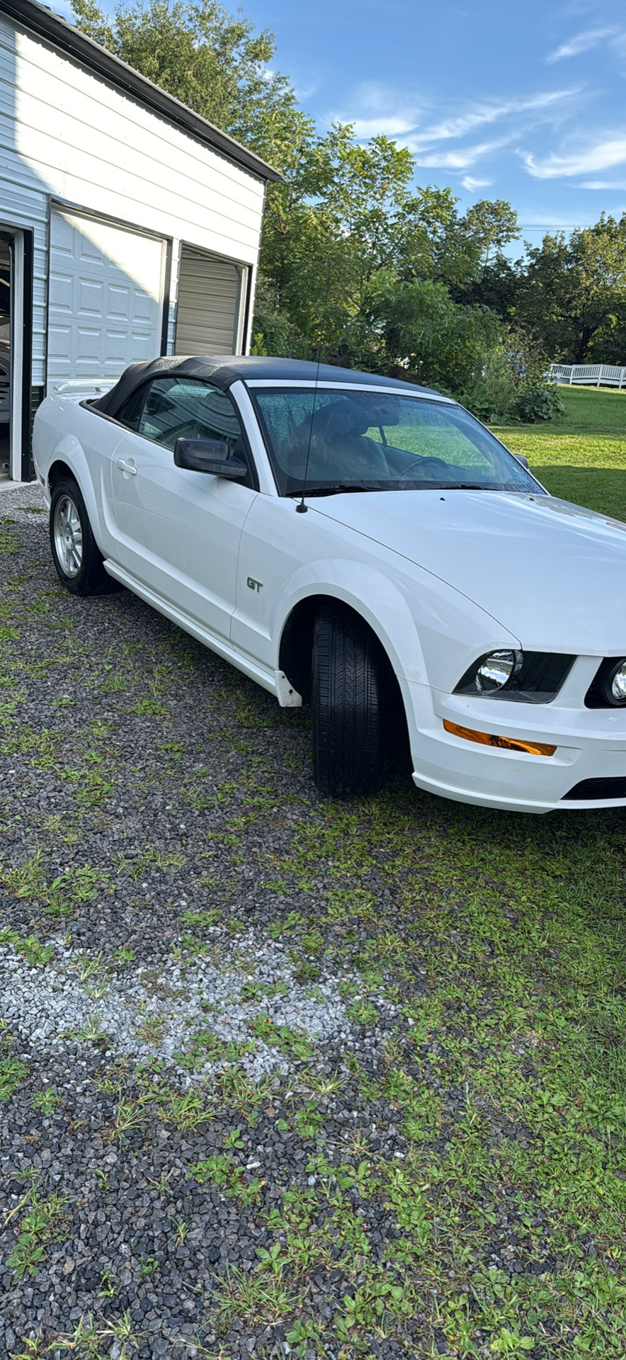 Used 2007 Ford Mustang GT Premium RWD image 1