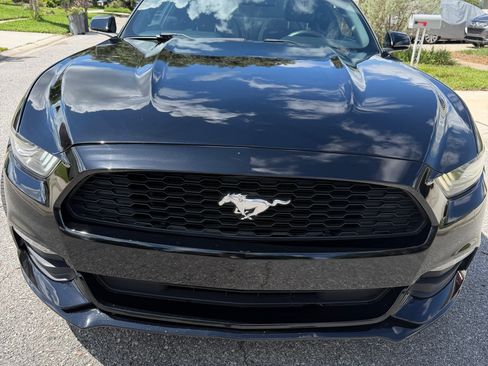 Used 2017 Ford Mustang Coupe RWD image 12