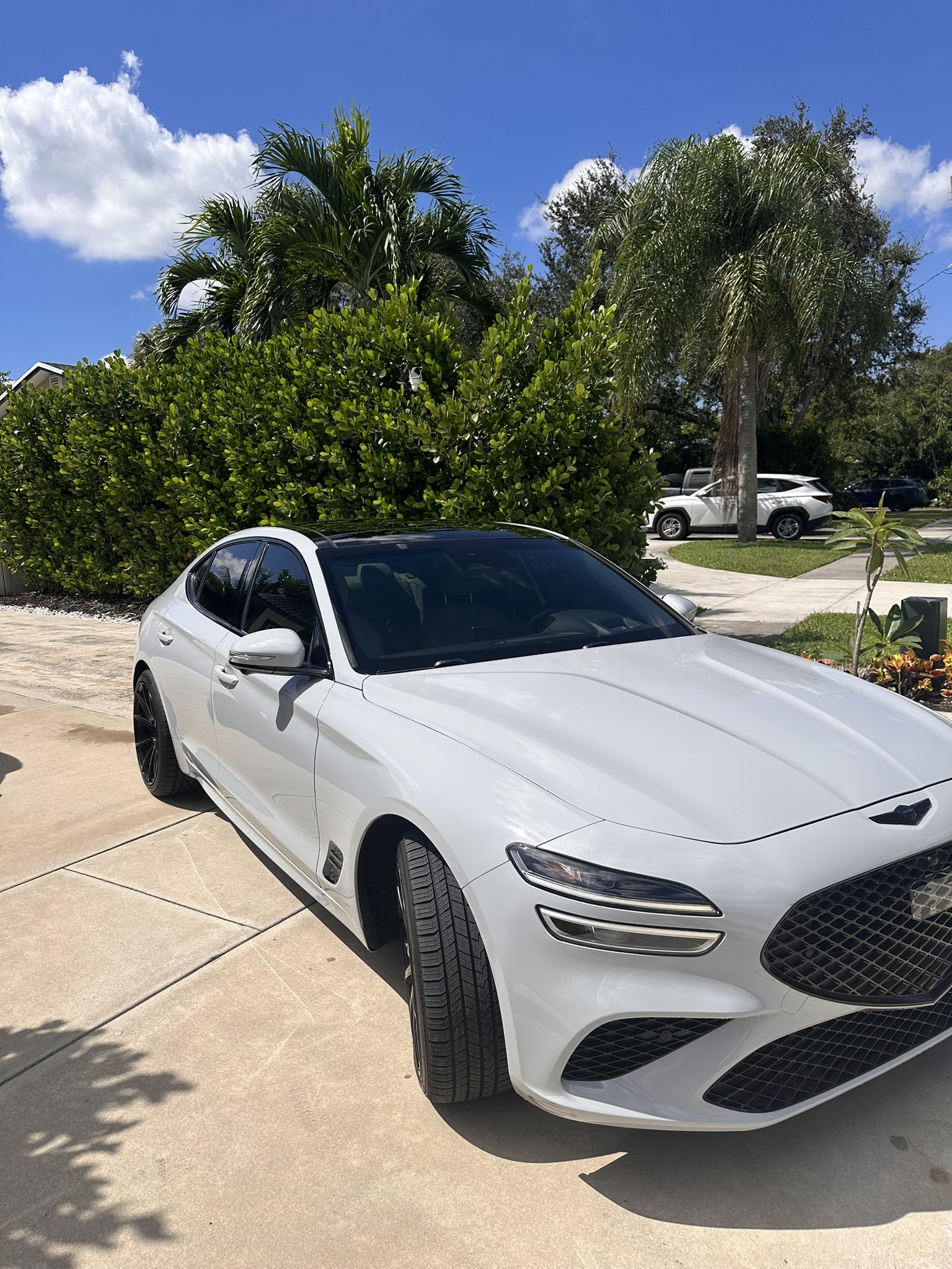 Used 2023 Genesis G70 3.3T w/ Sport Prestige Package AWD/4WD image 19