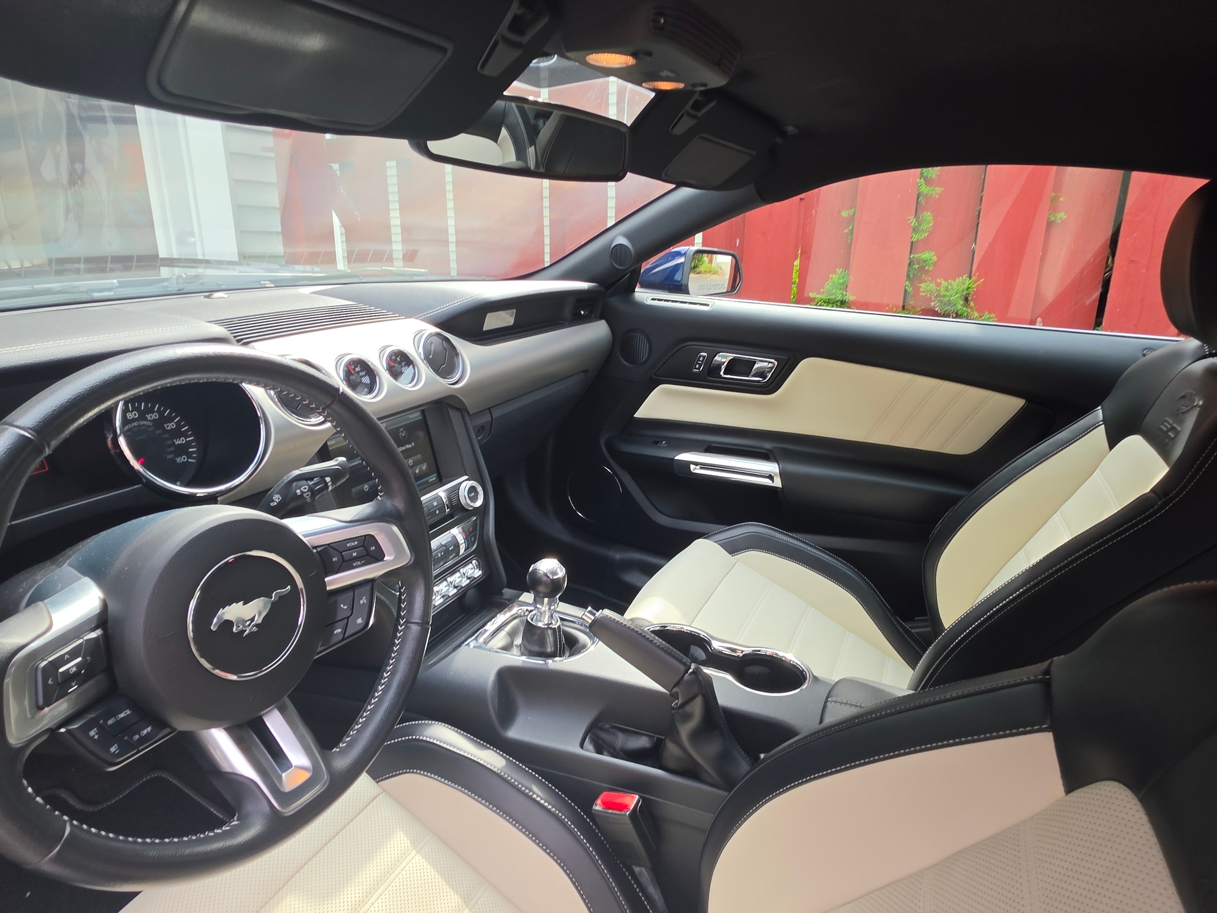 Used 2015 Ford Mustang 50 Years RWD image 6