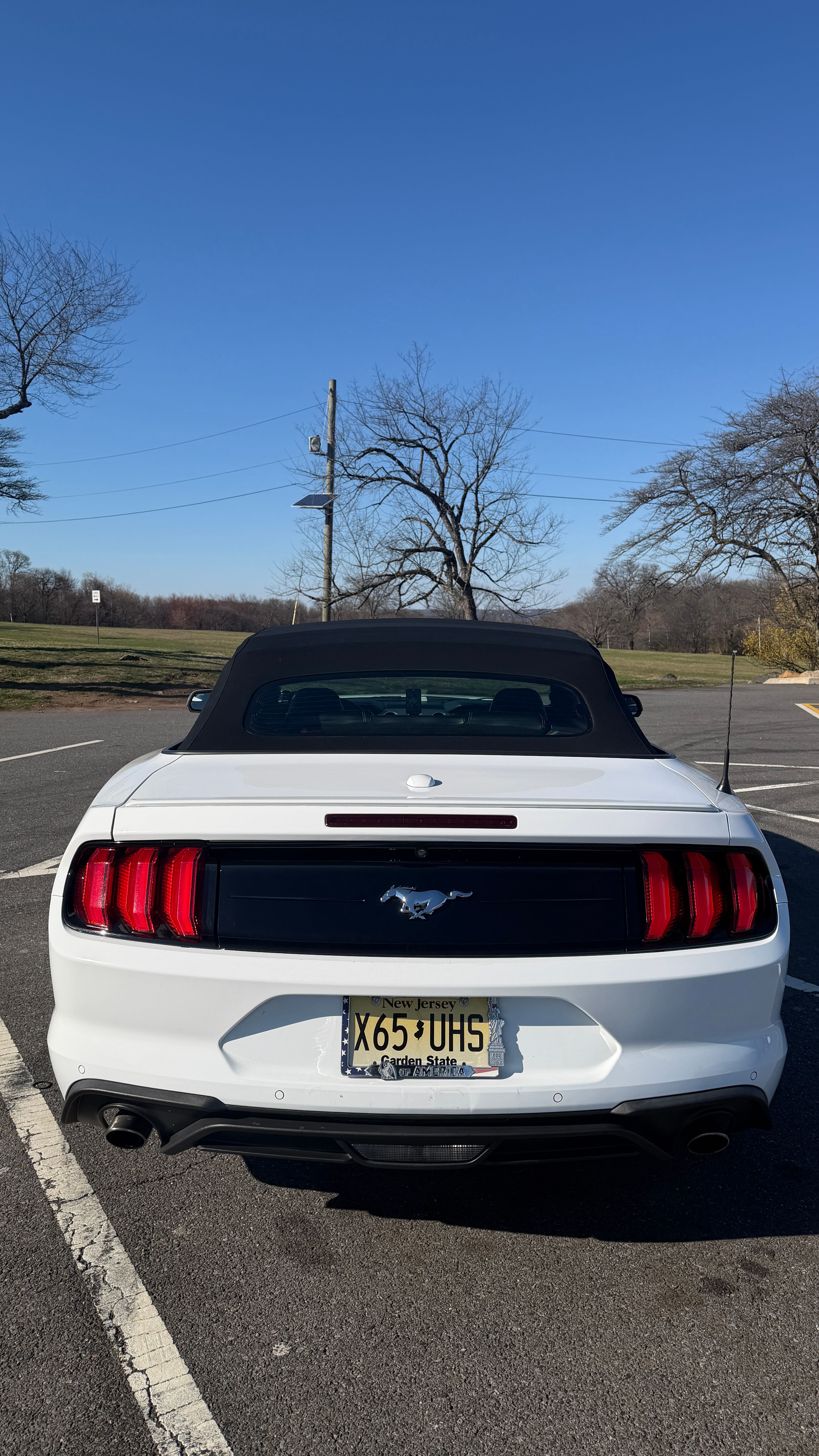 Used 2019 Ford Mustang Premium RWD image 8