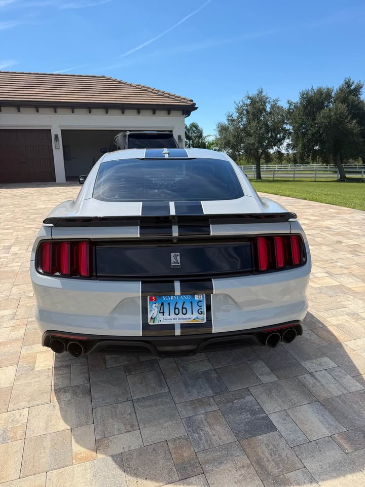 Used 2017 Ford Mustang Shelby GT350 w/ Electronics Package RWD image 5