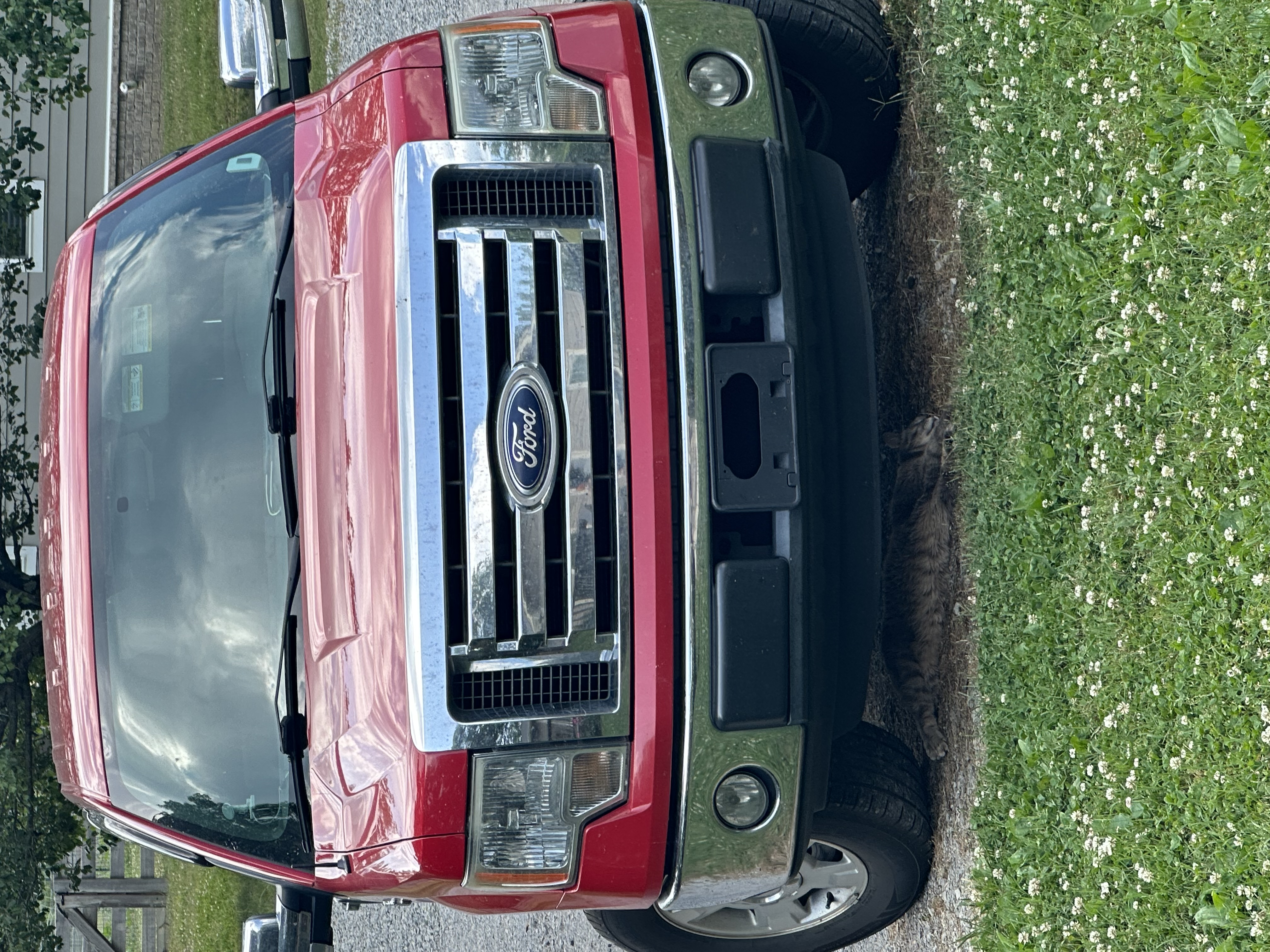 Used 2011 Ford F150 XLT RWD image 12