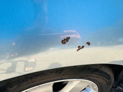 Used 2007 Toyota Avalon XLS image 13