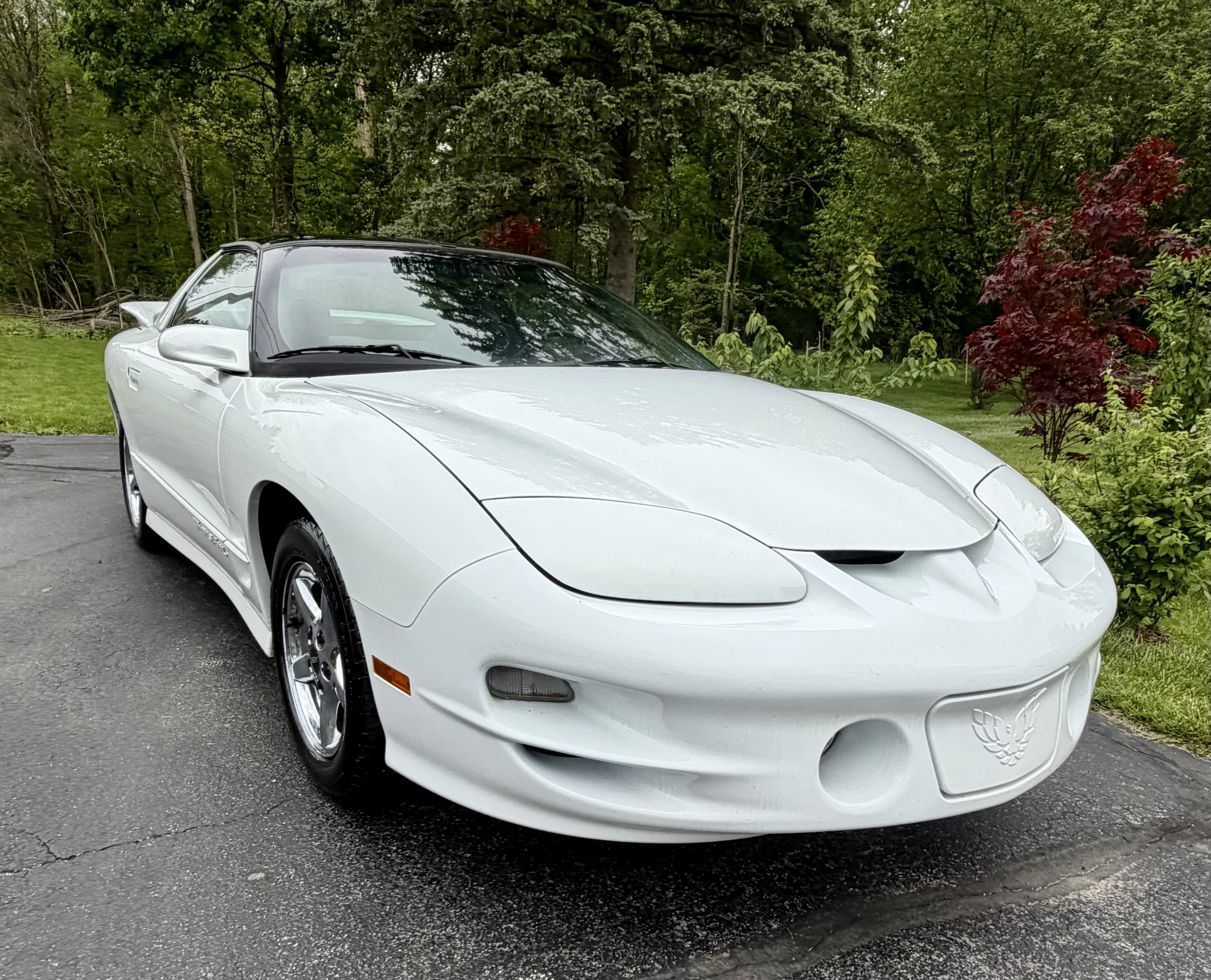 Used 2000 Pontiac Firebird Formula w/ Security Pkg RWD image 4