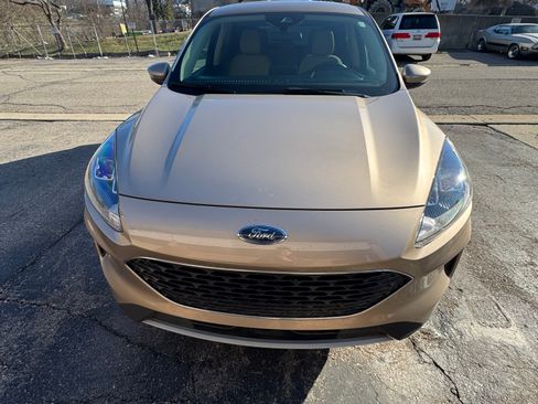 Used 2020 Ford Escape SE image 1