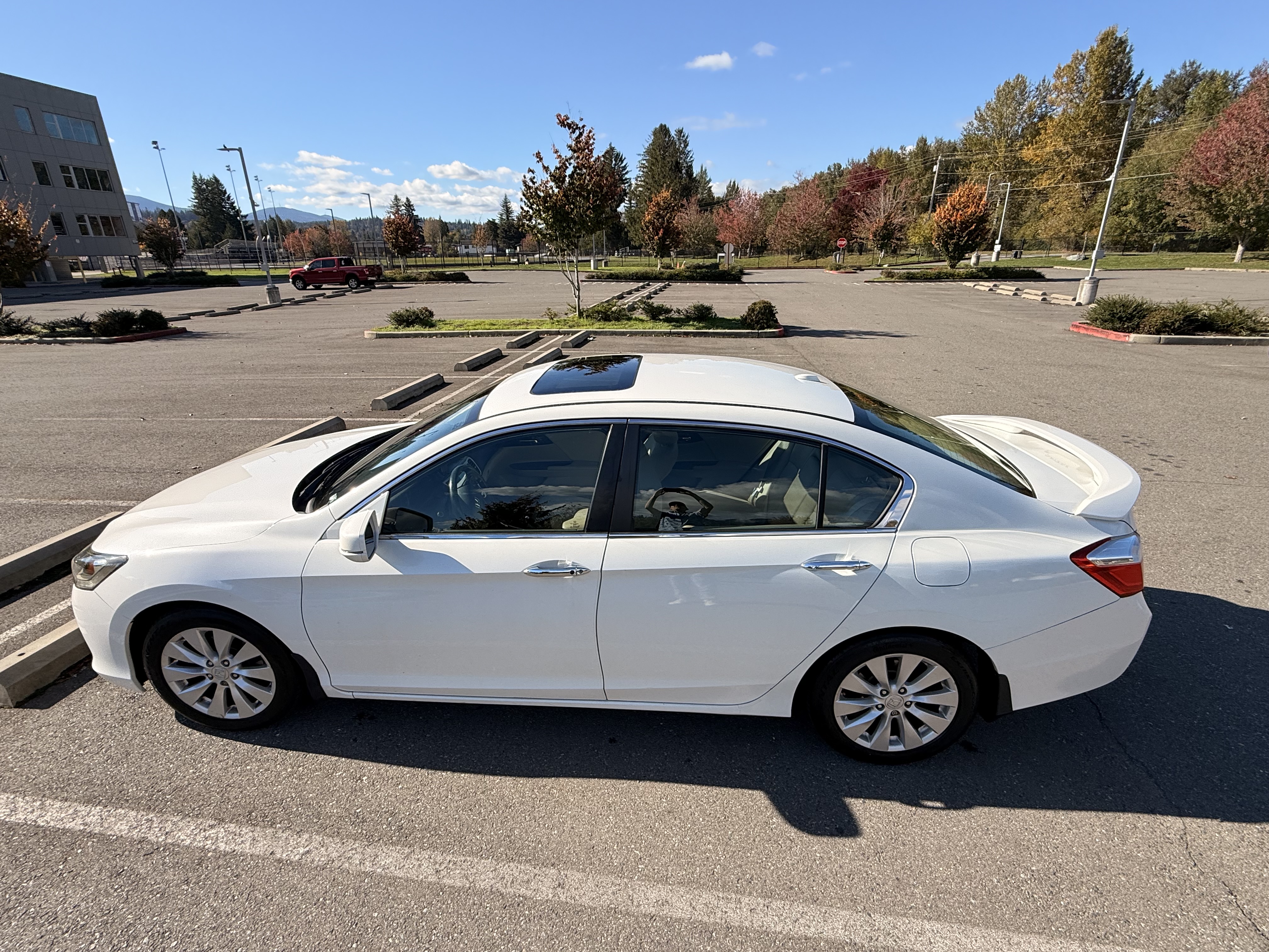 Used 2014 Honda Accord EX-L image 5