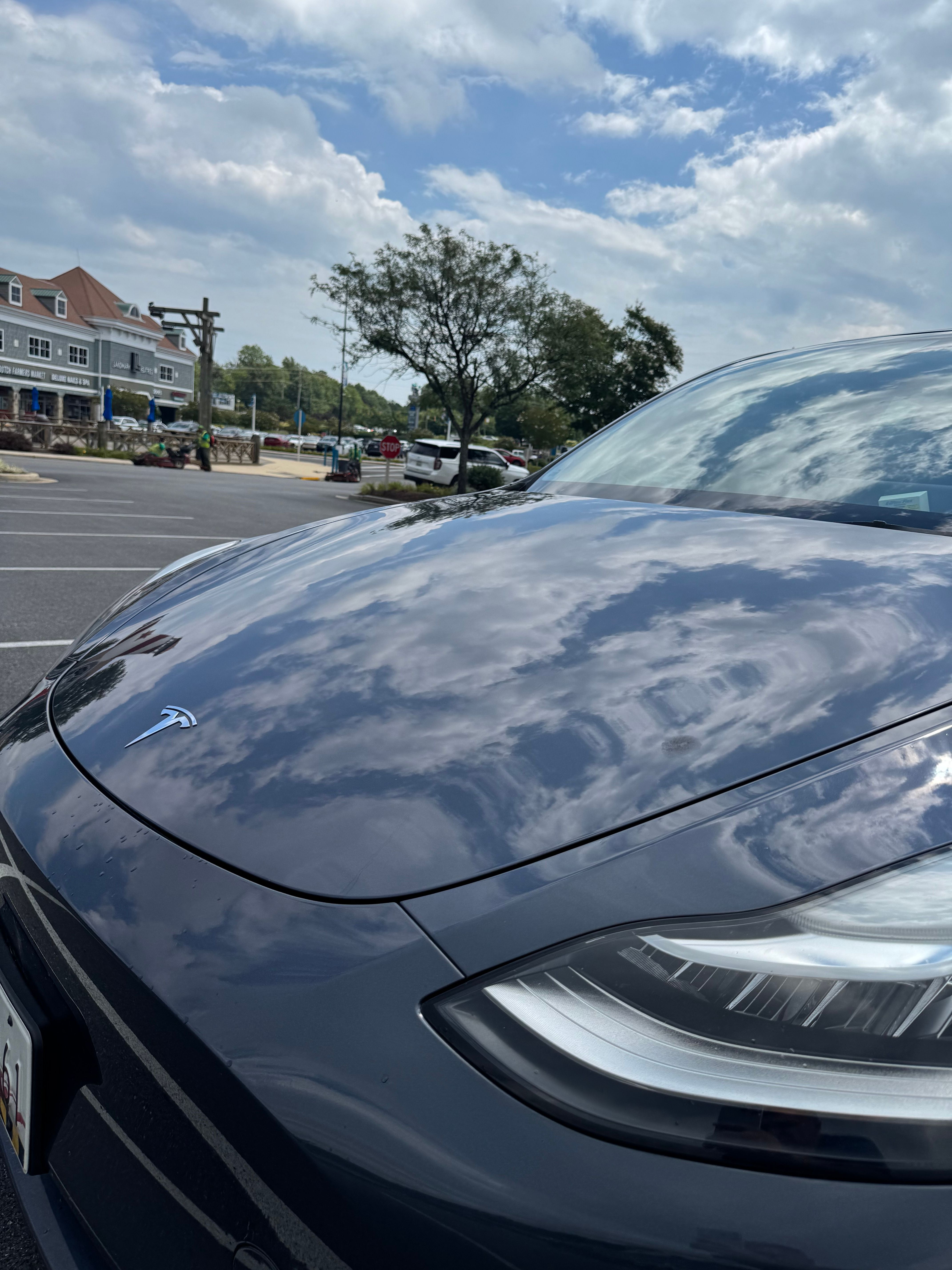 Used 2023 Tesla Model Y Long Range AWD/4WD image 13