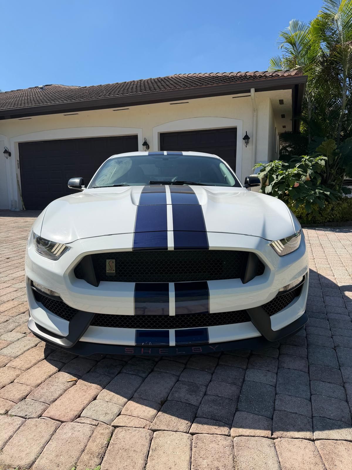 Used 2020 Ford Mustang Shelby GT350 w/ Technology Package RWD image 2