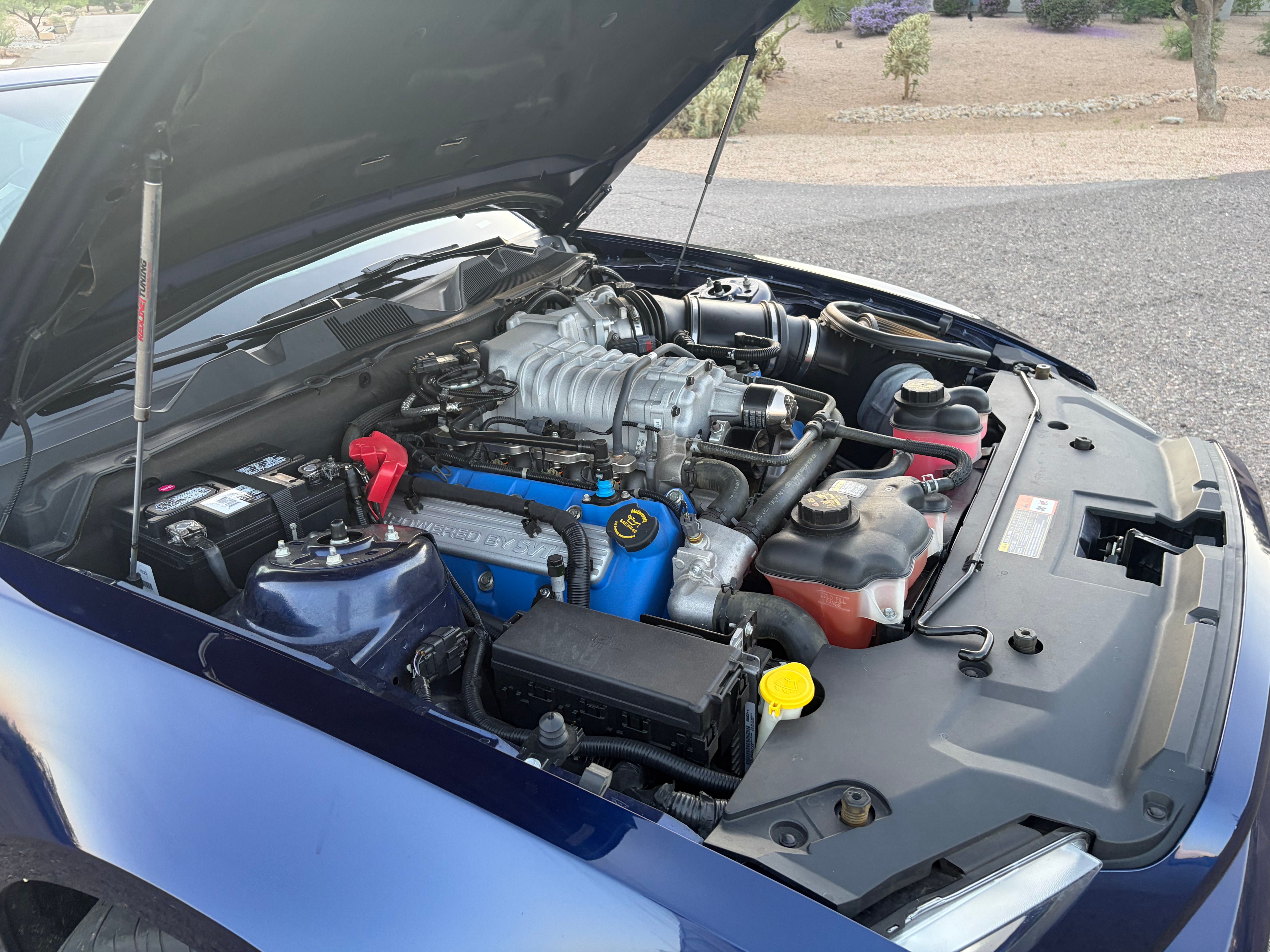 Used 2012 Ford Mustang Shelby GT500 w/ SVT Performance Pkg RWD image 12