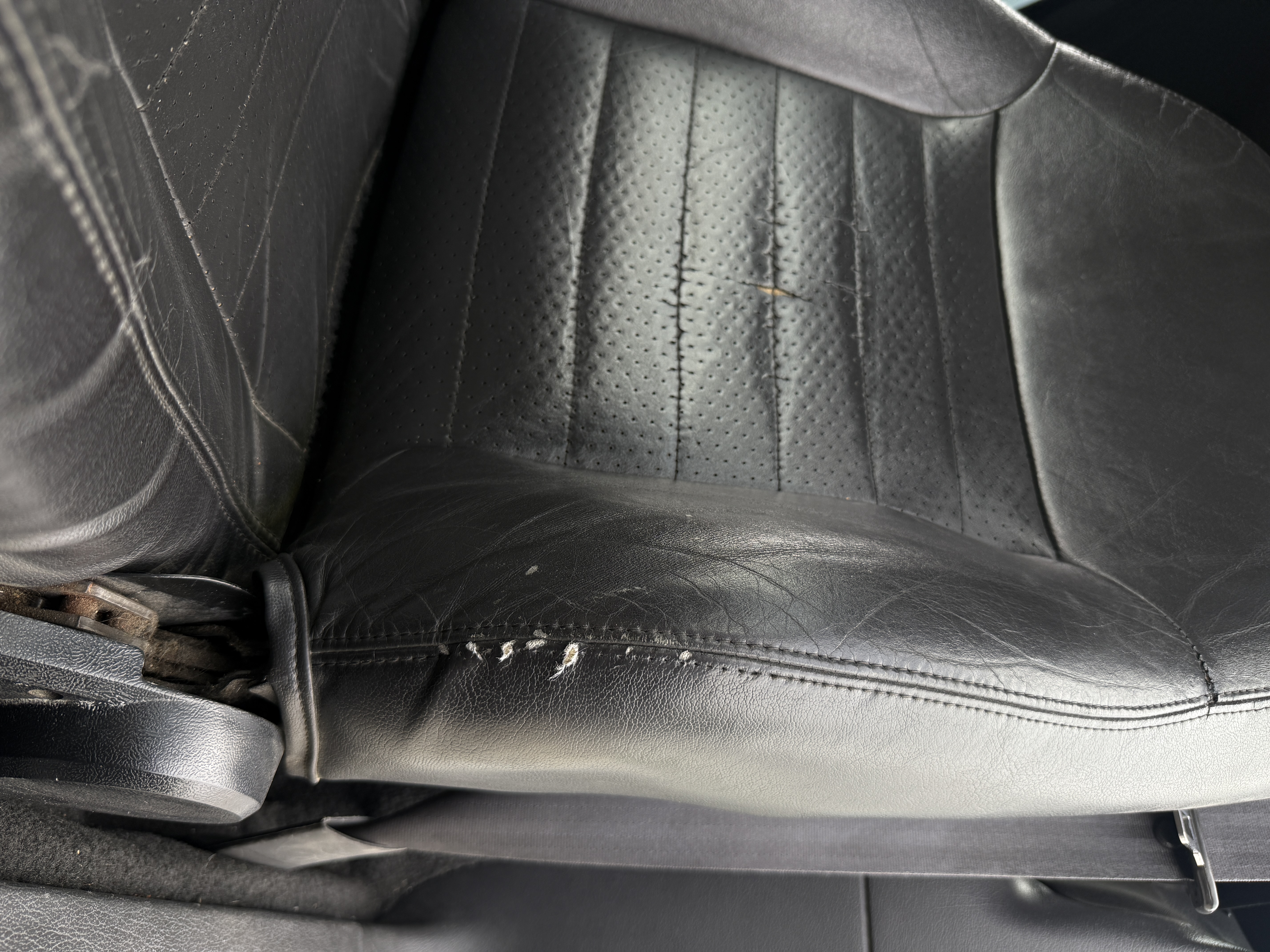Used 1999 Ford Mustang Cobra RWD image 6