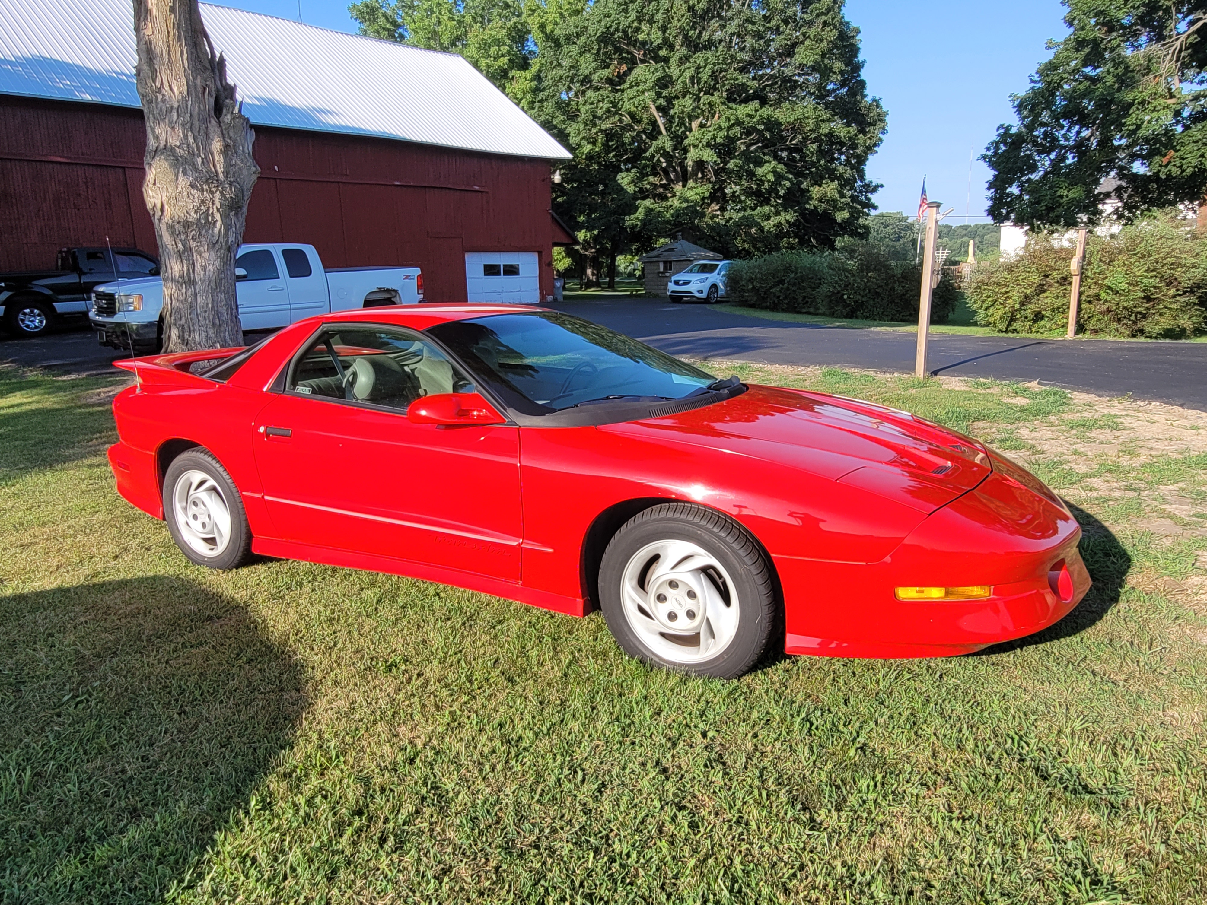 Used 1993 Pontiac Firebird Trans Am RWD image 1