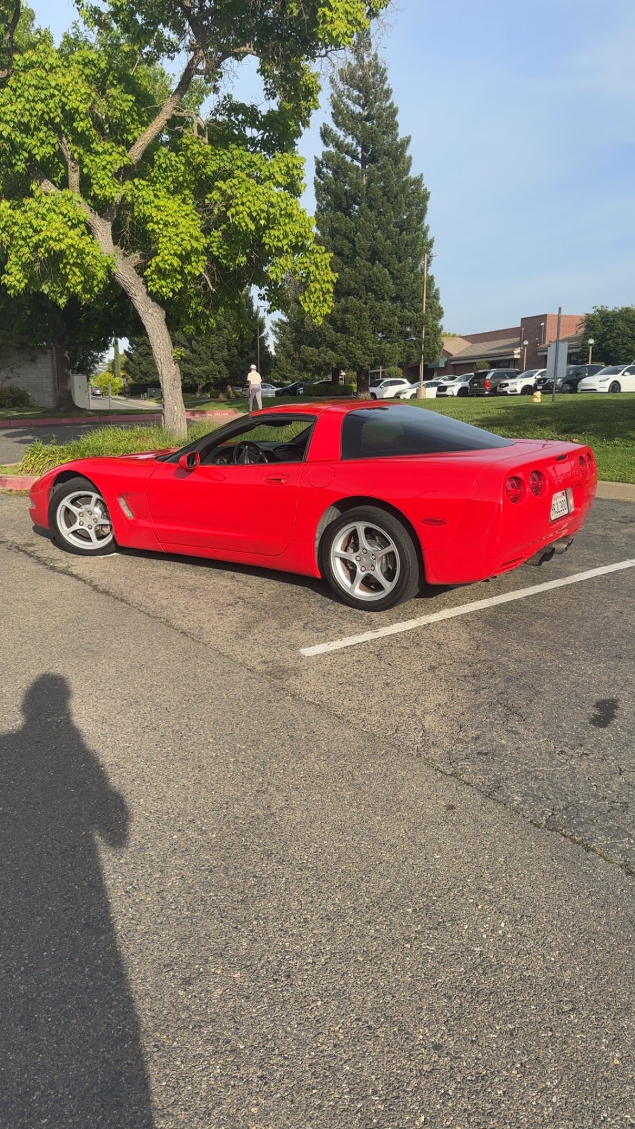 Used 2000 Chevrolet Corvette Coupe w/ Memory Pkg RWD image 15