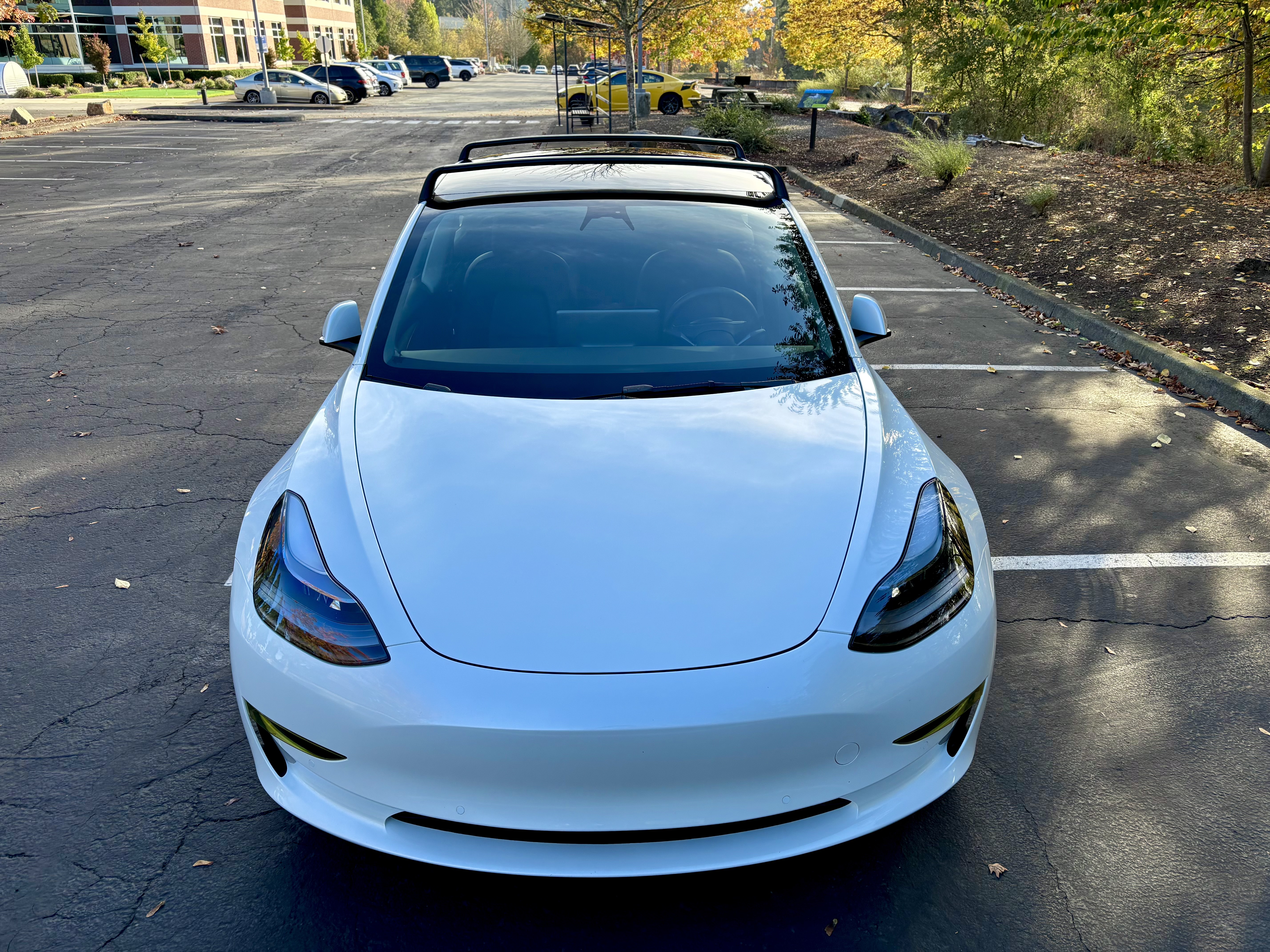 Used 2022 Tesla Model 3 Long Range AWD/4WD image 6