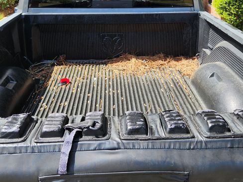 Used 2009 Dodge Ram 1500 Truck SLT image 14