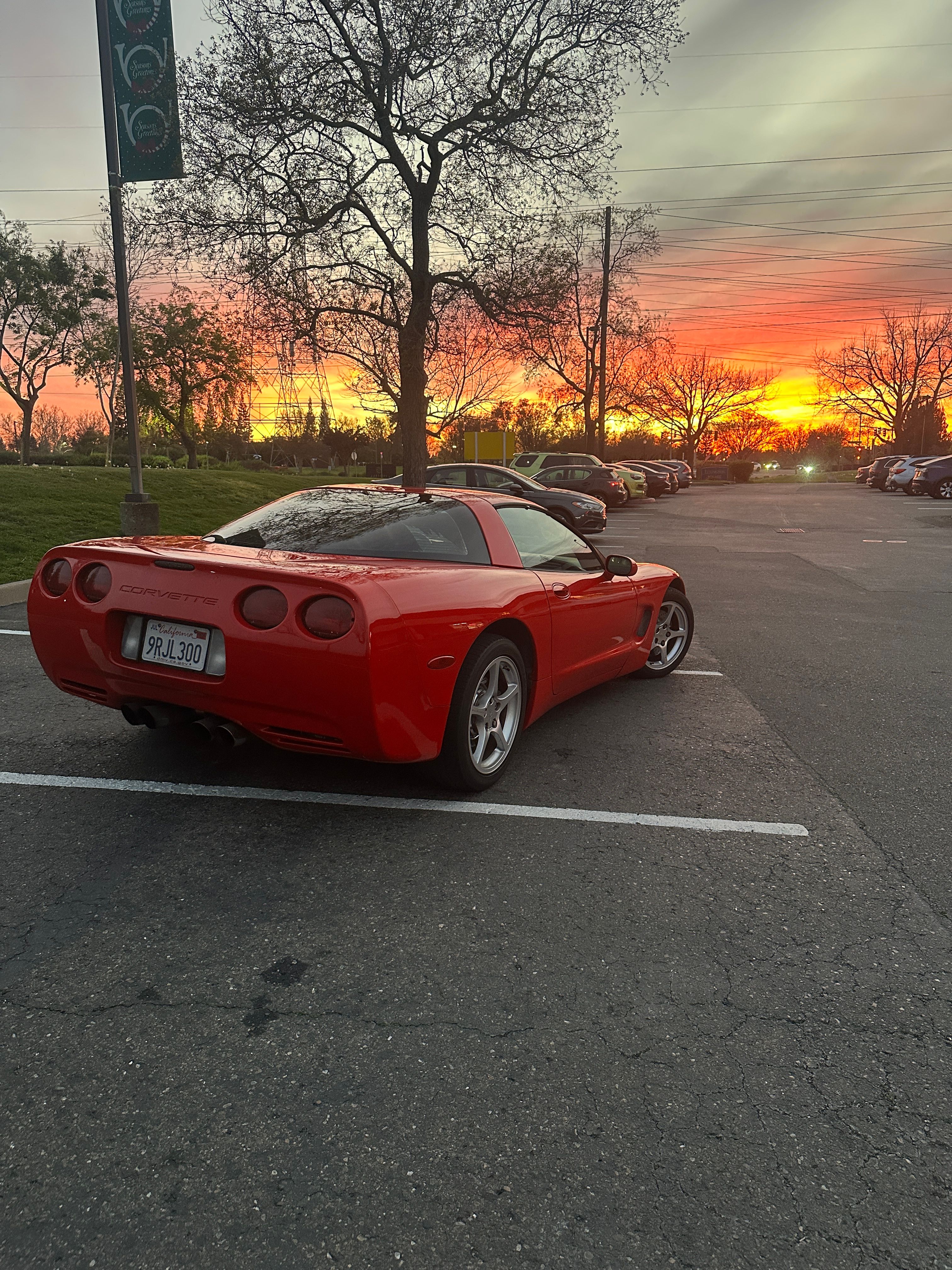 Used 2000 Chevrolet Corvette Coupe w/ Memory Pkg RWD image 11