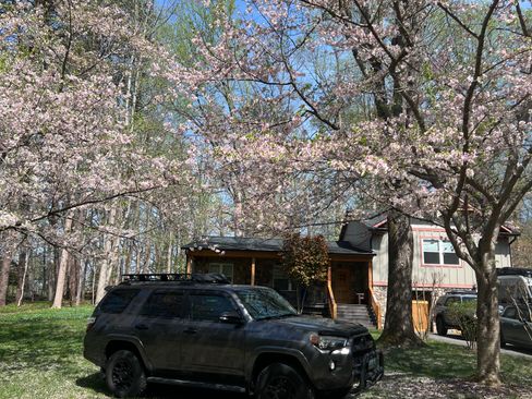 Used 2014 Toyota 4Runner SR5 Premium image 1