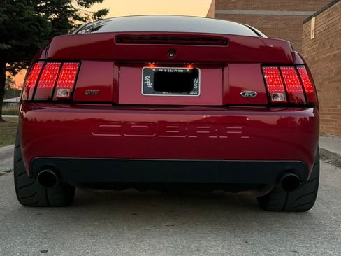 Used 2003 Ford Mustang Cobra image 10