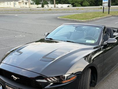 Used 2019 Ford Mustang Convertible w/ Ecoboost Performance Package