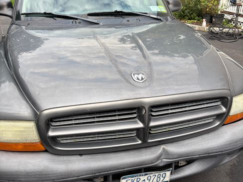 Used 2003 Dodge Dakota SXT RWD image 4