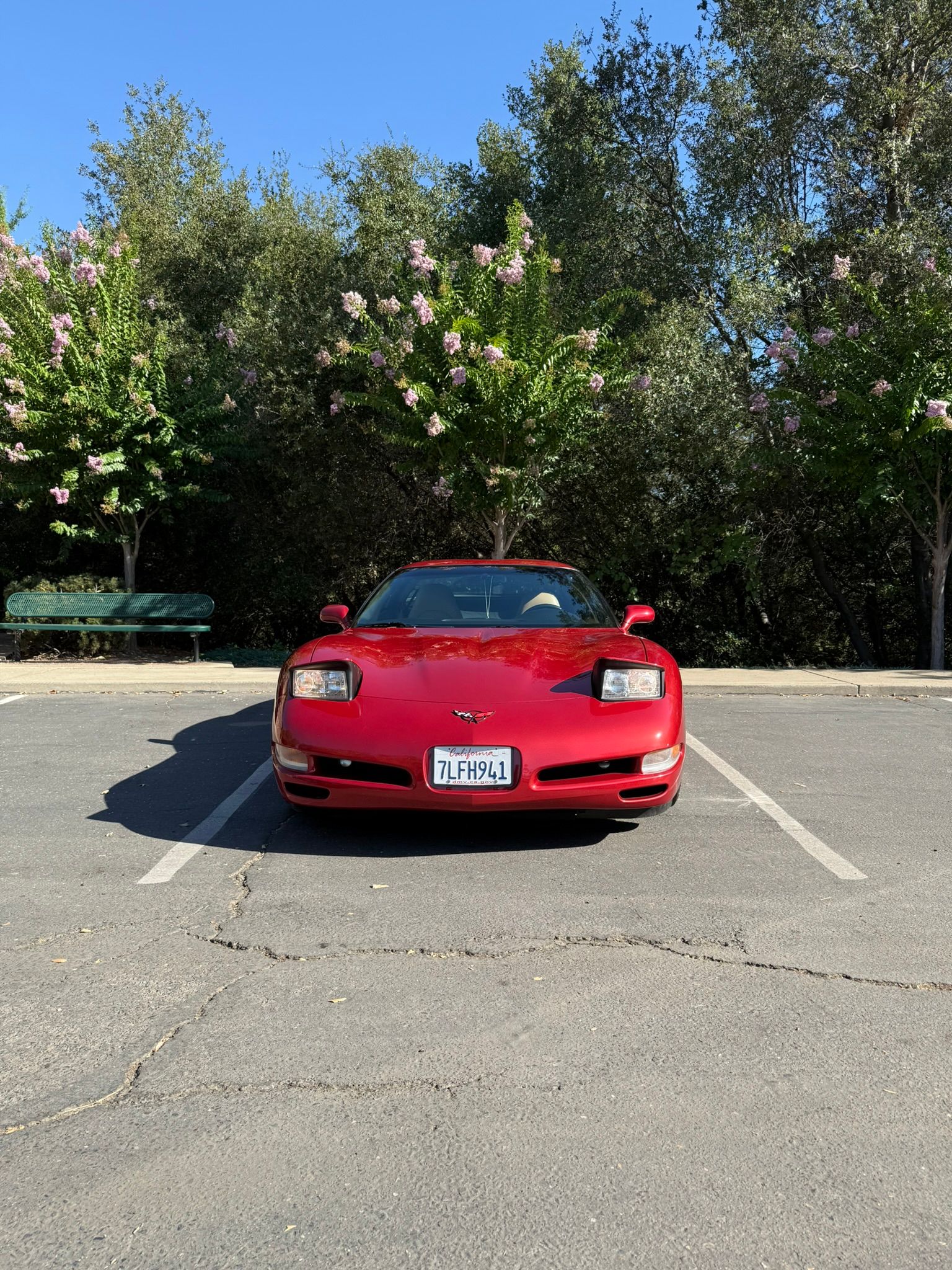 Used 1998 Chevrolet Corvette Coupe RWD image 10
