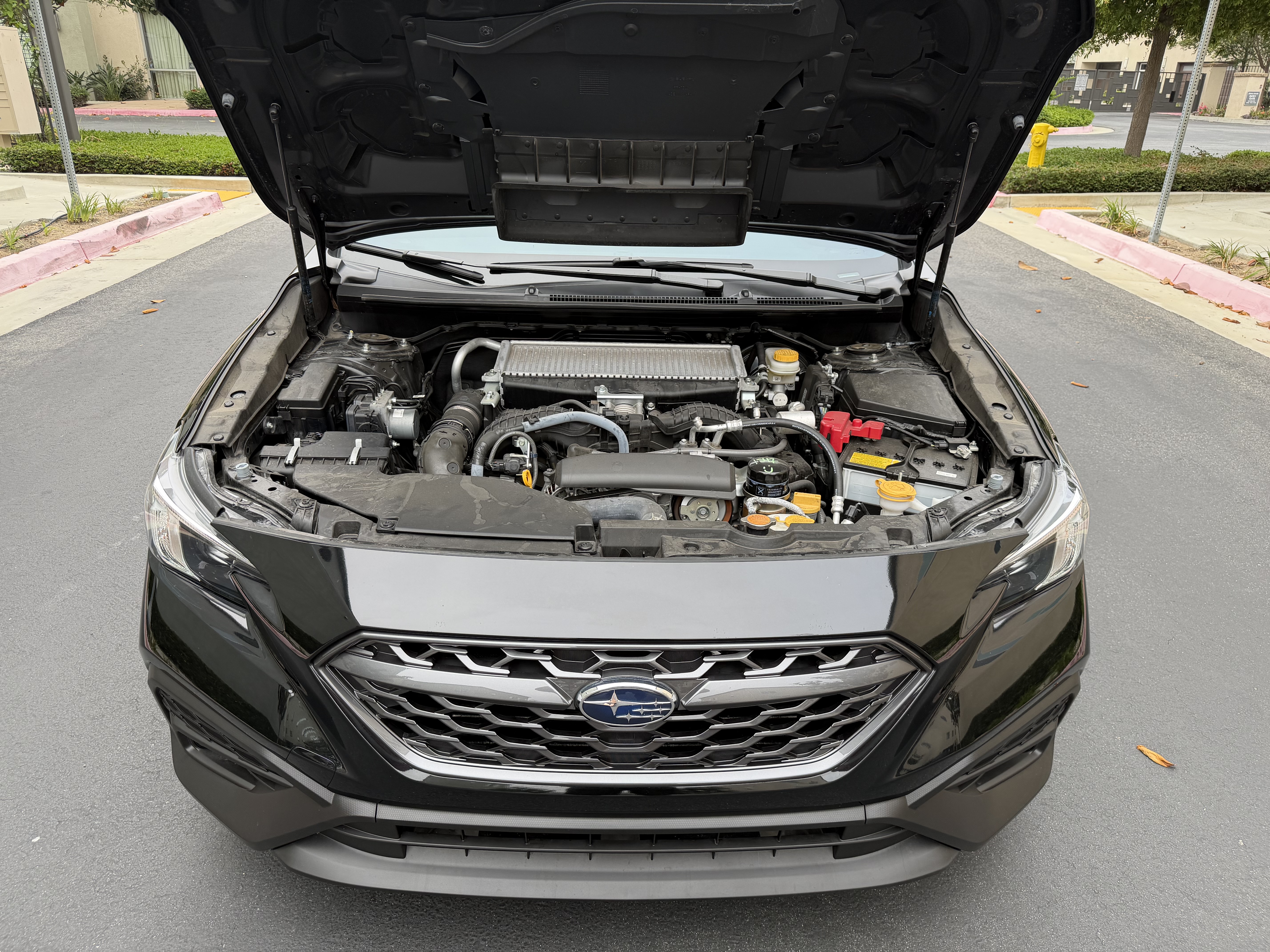 Used 2023 Subaru WRX Premium AWD/4WD image 2