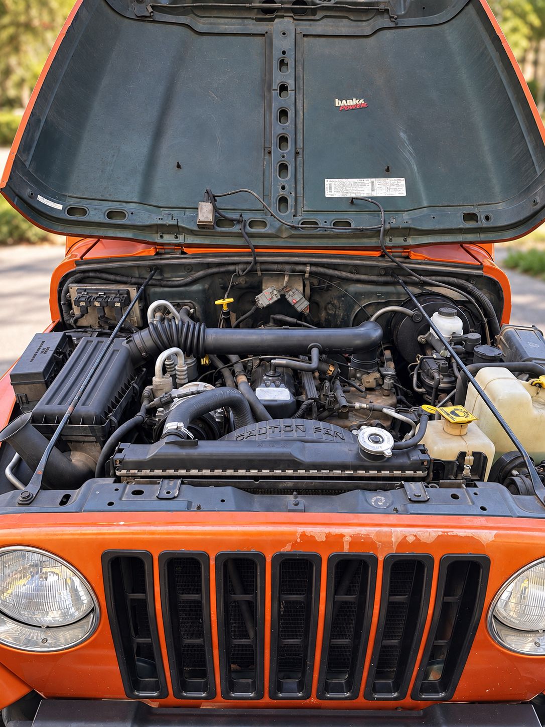 Used 1999 Jeep Wrangler Sport AWD/4WD image 18
