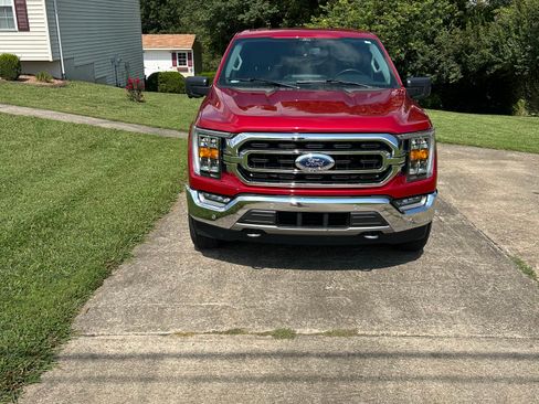 Used 2021 Ford F150 XLT w/ Equipment Group 302A High AWD/4WD image 2