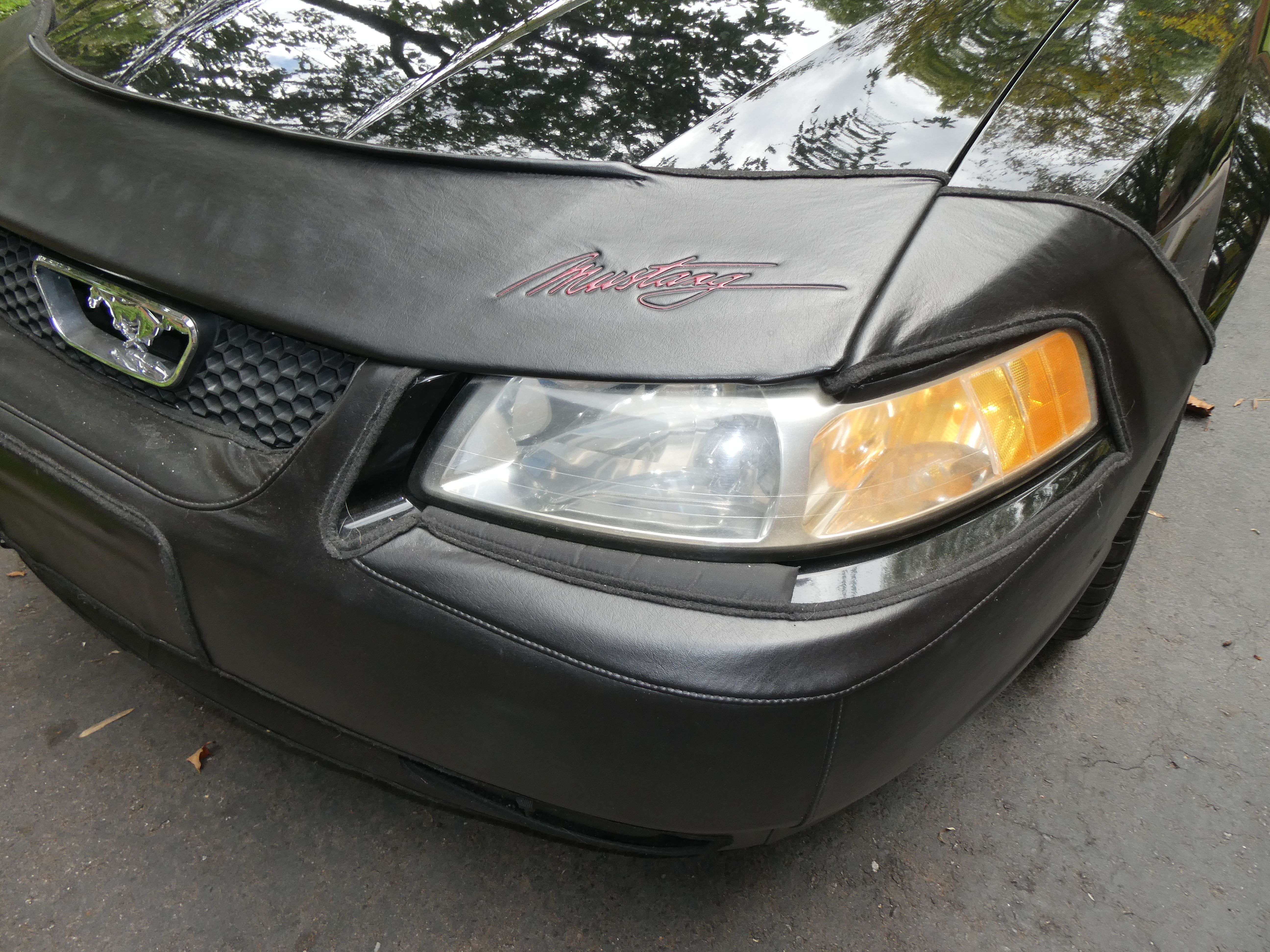 Used 2000 Ford Mustang GT RWD image 19