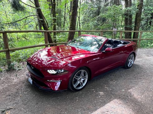 Used 2019 Ford Mustang Premium w/ Ecoboost Performance Package RWD image 2