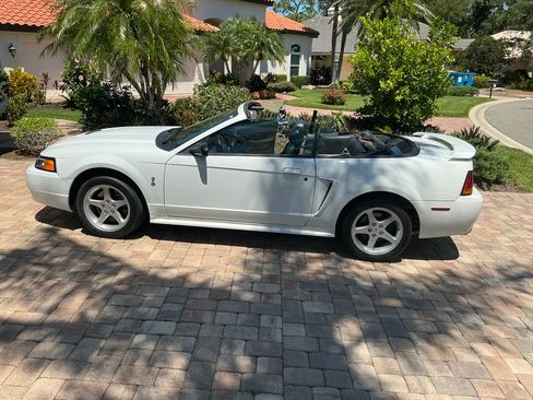 Used 2001 Ford Mustang Cobra RWD image 14