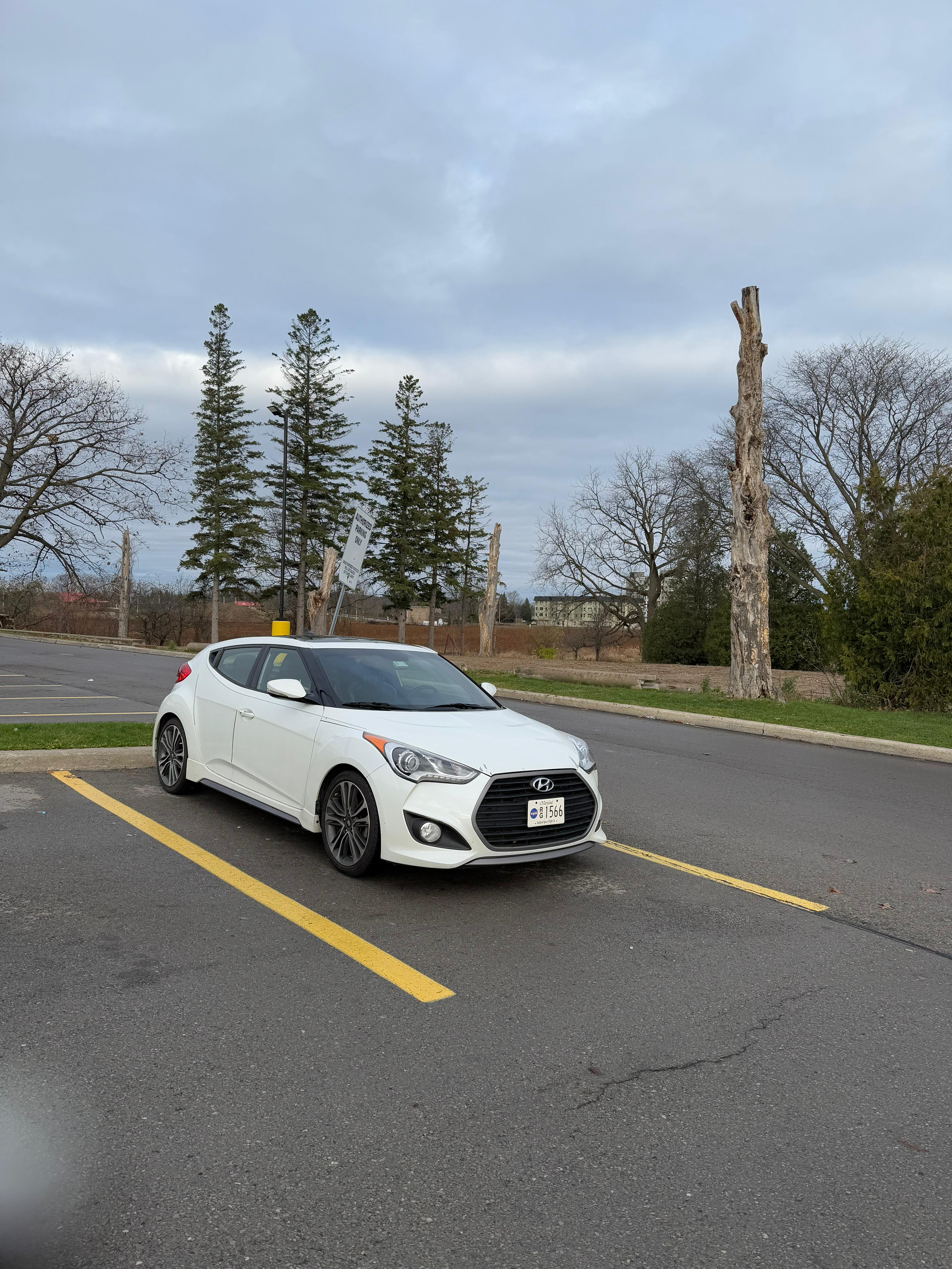 Used 2016 Hyundai Veloster Turbo w/ Option Group 04 FWD image 2