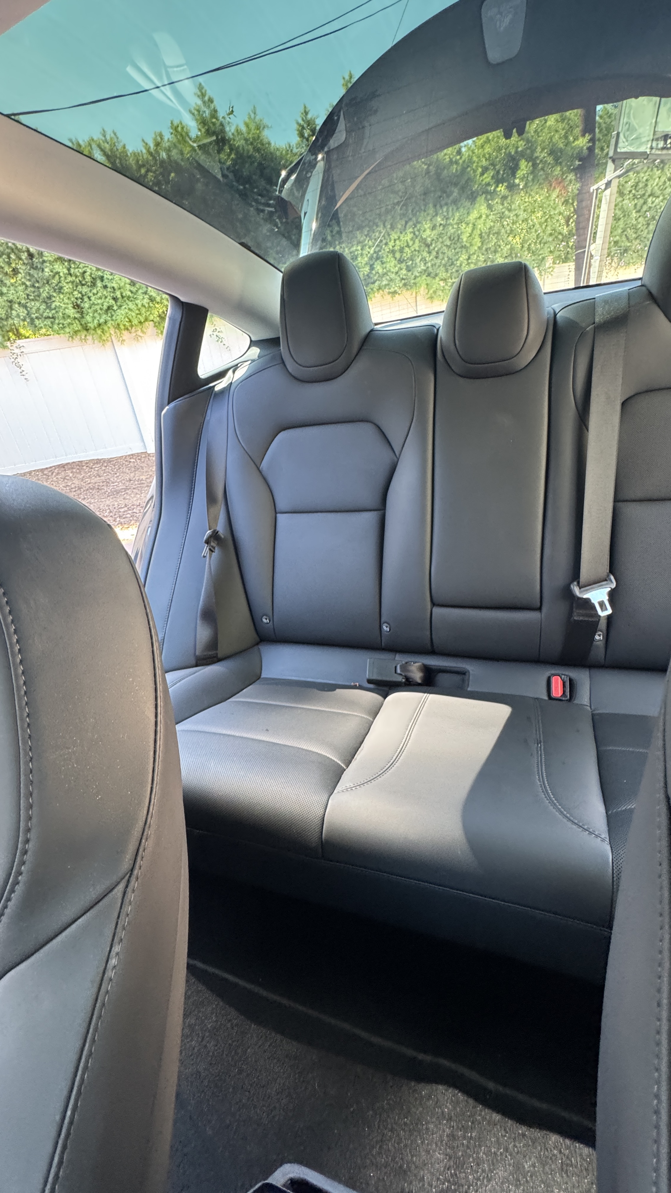 Used 2024 Tesla Model 3 Standard Range RWD image 15