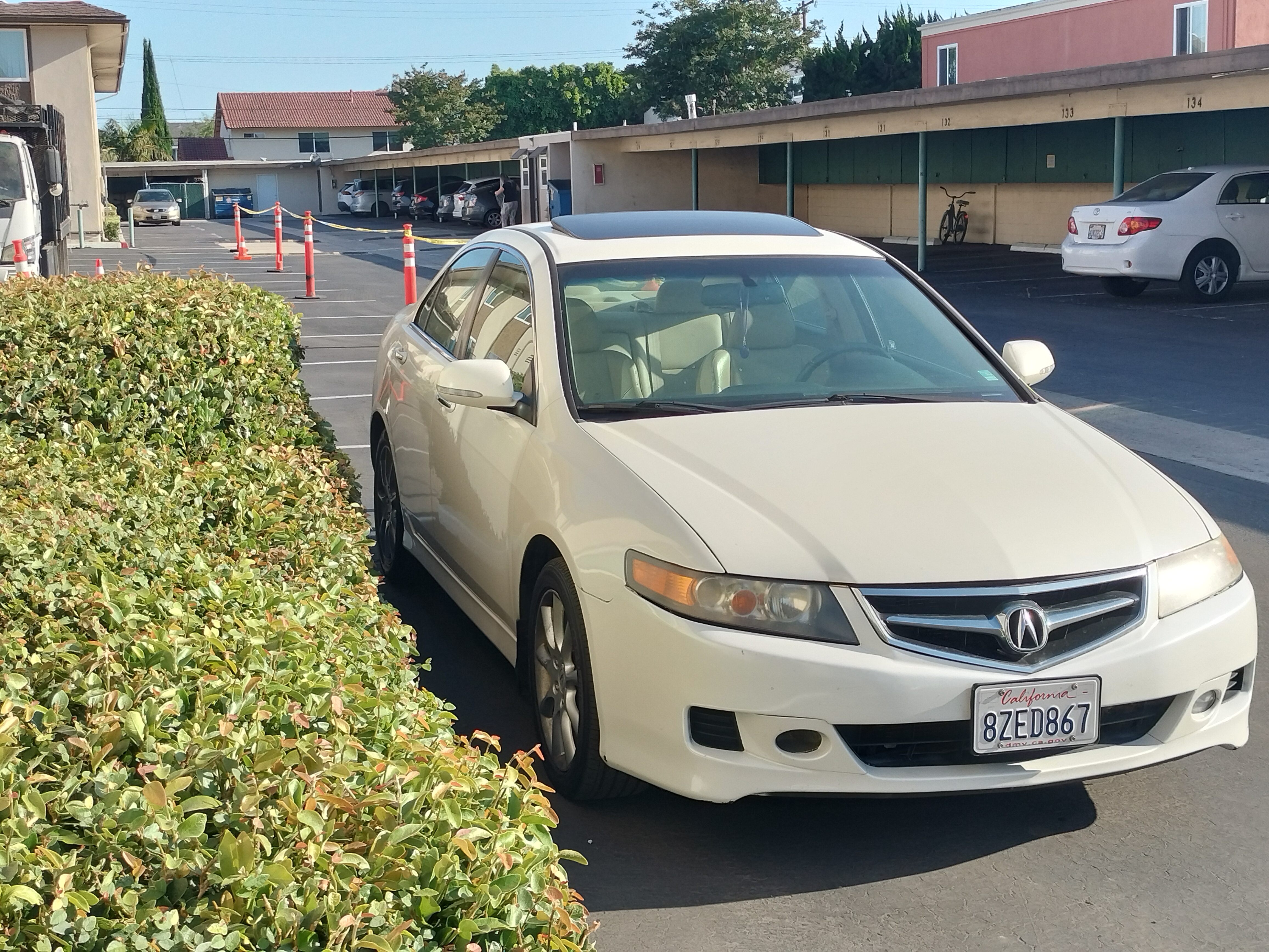 Used 2008 Acura TSX FWD image 8