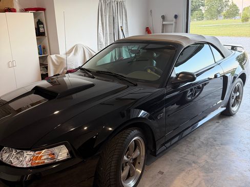 Used 2001 Ford Mustang GT RWD image 13