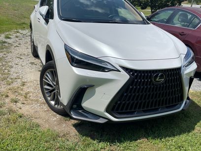 Used 2022 Lexus NX 350h AWD